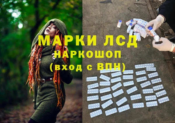 эйфоретик Бородино