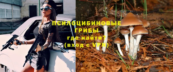 эйфоретик Бородино