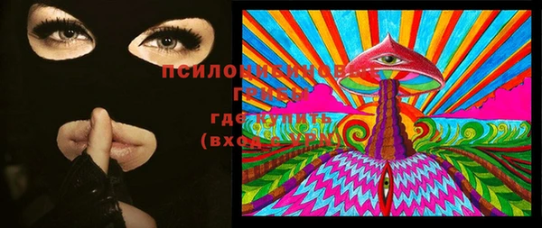 эйфоретик Бородино
