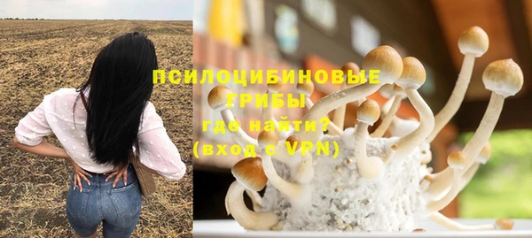 твердый Бронницы