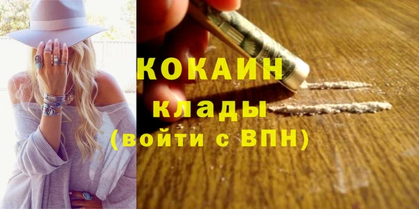 эйфоретик Бородино