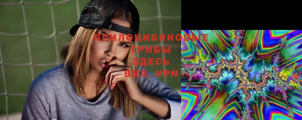 эйфоретик Бородино