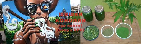 эйфоретик Бородино