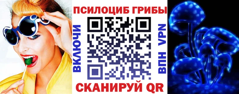 Галлюциногенные грибы Psilocybe  Кимры 